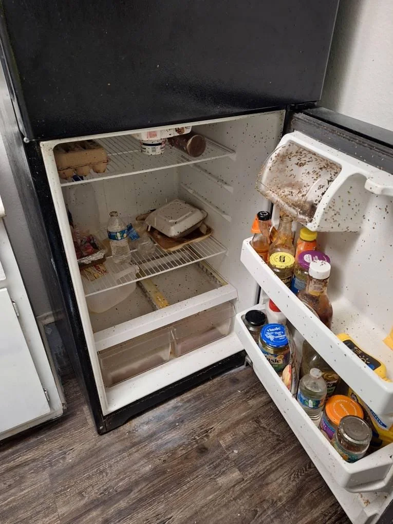Refrigerator cleaning before cleaning